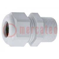 Cable gland; with long thread; PG29; IP68; polyamide; light grey