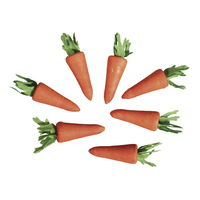 Produktfoto: Karotte aus Watte, 30 mm
