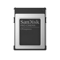 SanDisk PRO-CINEMA CFexpress 320 Go