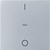 Berker 80962283 Zubehör für elektrische Schalter Knopfplatte
