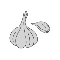 Poudre d'ail