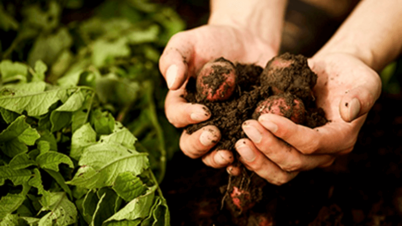 Sustainability Grundig