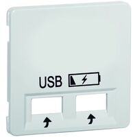 PEHA 20.610.21 USB SPV CENTR PL USB AURA ANTR MAT