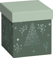 STEWO Geschenkbox Arlette 2551524796 grün 11x11x12cm