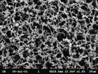 Membranfilter Sorte NC Cellulosenitrat | Typ: NC 45