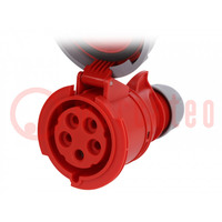 Connector: AC supply 3-phase; socket; female; 32A; 400VAC; IP67