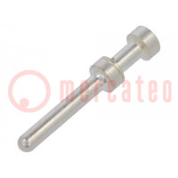 Contatto; maschio; argentato; 0,75÷1mm2; HTS HA,HTS HE