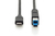 Ednet USB Type-C Verbindungskabel, Typ C auf B St/St, 1.8m, 3A, 5GB 3.0 Version, sw