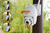 Technaxx 4991 Sicherheitskamera Dome IP-Sicherheitskamera Innen & Außen 2304 x 1296 Pixel Wand