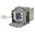 BENQ HT3560 Module de lampe de projecteur (ampoule compatible à l'int&eac