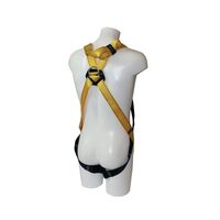Fall arrest harnesses - Rescue harness, specially designed for confined areas