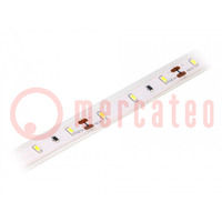 LED strips; koud wit; 3014; 12V; LED/m: 60; 10mm; IP65; 120°; 6W/m