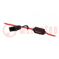 Fuse holder; 19mm; 20A; on cable; Leads: lead x2; 32V