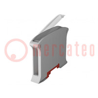 Enclosure: for DIN rail mounting; Y: 101mm; X: 17.5mm; Z: 80.2mm