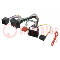 Cable for THB, Parrot hands free kit; BMW; PIN: 40