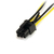 StarTech.com 15cm SATA Strom auf 6 pin PCI Express Grafikkarten Stromkabel - PCIe Y-Kabel Adapter
