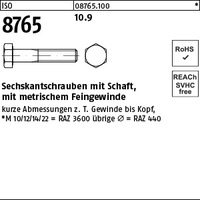 ISO 8765 10.9 M 24 x 2 x 110 VE=S