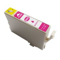 Index Alternative Compatible Cartridge For Epson T0543 Magenta Ink Cartridges T05434010