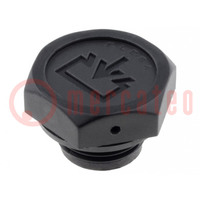 Fill plug; diameter 2 mm side breather hole; Thread: M18; 8÷10Nm