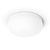 Philips Hue White and colour ambience Flourish ceiling light