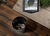 Leitz Recycle Waste Paper Bin