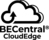 BECbyBillion BECentral® CloudEdge - 1 Year Pełny 1 x licencja Subskrypcja Angielski 1 lat(a) 12 mies.