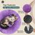 BLUZELLE Dog Bed for Small Dogs & Cats, 20" Donut Dog Bed Washable, Round Plush Dog Pillow Fluffy Cat Bed Cat Pillow, Calming Pet Mattress Soft Pad Comfort No-Skid Purple