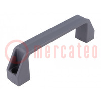 Holder; technopolymer PA; grey; H: 47mm; L: 172mm; W: 27mm; F2: 2.7kN