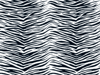 Bastelkarton 50x70 300g Zebra