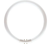 Philips MASTER TL5 Circular fluorescente lamp 39,9 W 2GX13 Koel wit