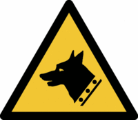 Sicherheitskennzeichnung - Warnung vor Wachhund, Gelb/Schwarz, 31.5 cm, Seton
