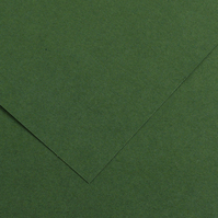 Foglio Colorline - 70x100 cm - 220 gr - verde abete - Canson