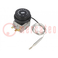 Sensor: thermostat with capillary; SPDT; 10A; 400VAC; ±4°C; BT