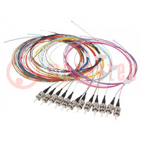 Optic fiber pigtail; OM3; ST/UPC; 2m; Optical fiber: 50/125um