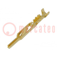 Contact; male; gold-plated; 28AWG÷24AWG; crimped