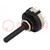 Switch: rotary; Pos: 12; 0.3A/125VAC; 1A/30VDC; Poles number: 4; 30°