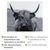 WENKO Glasrückwand Highland Cattle 60 x 50 cm