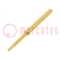 Test needle; Operational spring compression: 5mm; Min.pitch: 4mm