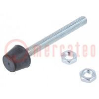 Clamping bolt; Thread: M5; steel; L: 55mm; Ø: 10mm