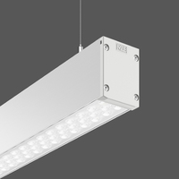 RZB LINEDO Single Deckenbeleuchtung LED D