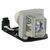 Projector Lamp for Optoma 2000 Hours, 240 Watt fit for Optoma Projector HD25, HD25E, EH300, DH1011, HD30 Lampen