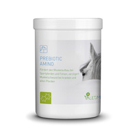 Prebiotic Amino, 500 g Valetumed (1 Stück) , Detailansicht
