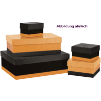 Aufbewahrungsboxen Set mit 5 Stück schwarz/orange