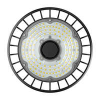 LED Hallenleuchte F260-SI, 90°, 100W, 4000K, IP65, nicht dimmbar, schwarz