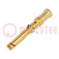 Contact; female; copper alloy; nickel plated,gold-plated; 1.5mm2