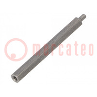 Screwed spacer sleeve; 55mm; Int.thread: M3; Ext.thread: M3