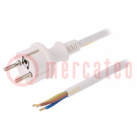 Cable; 3x2.5mm2; CEE 7/7 (E/F) plug,wires,SCHUKO plug; PVC; 5m