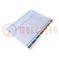 File dividers numbered; Marking: 1-31
