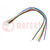 Cable; JST SH; 120mm; PIN: 6; 28AWG