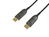 Equip 119443 DisplayPort kabel 30 m Zwart